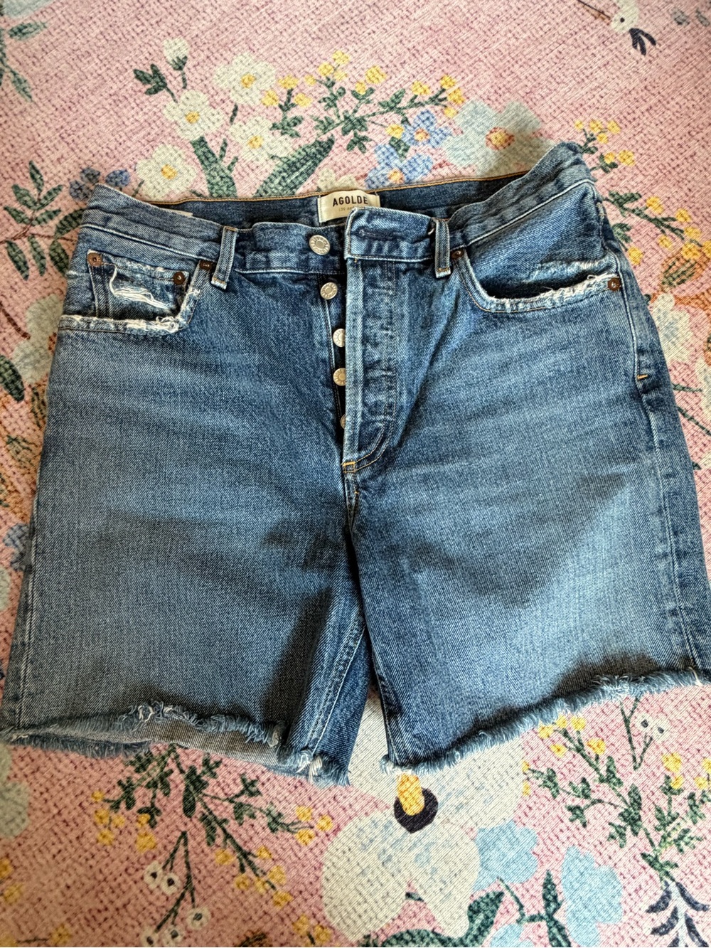 Agolde Rumi Shorts